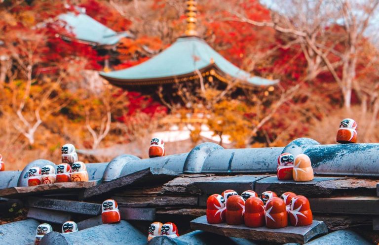 Daruma-Momiji